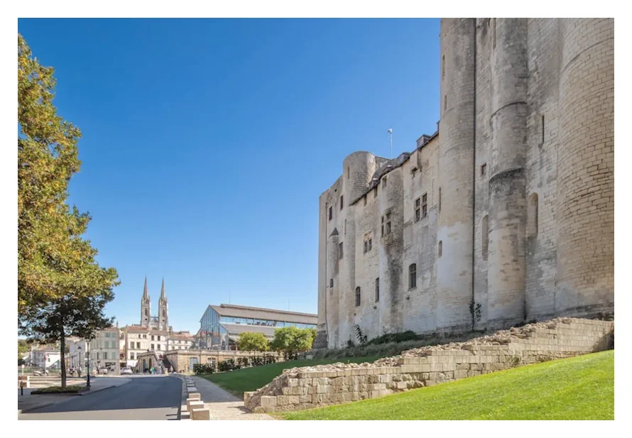 Décalaminage moteur Niort (79)